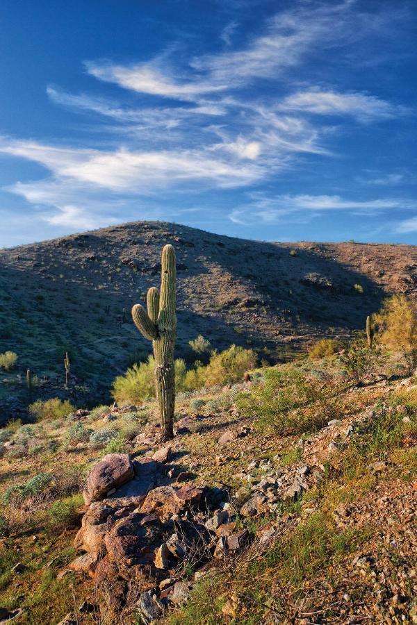 Hotel Raintree At South Mountain Preserve Phoenix