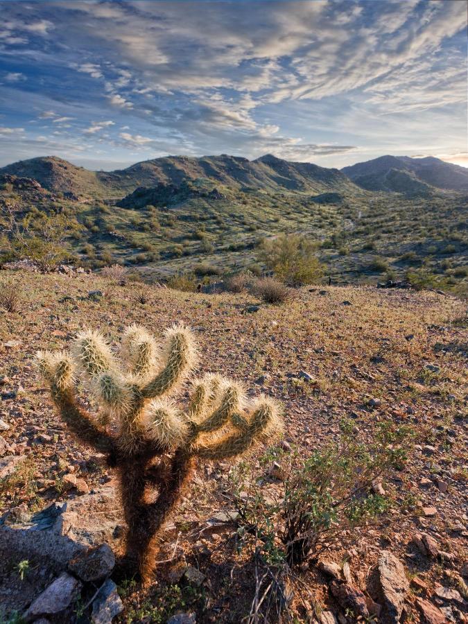 Raintree At South Mountain Preserve Phoenix