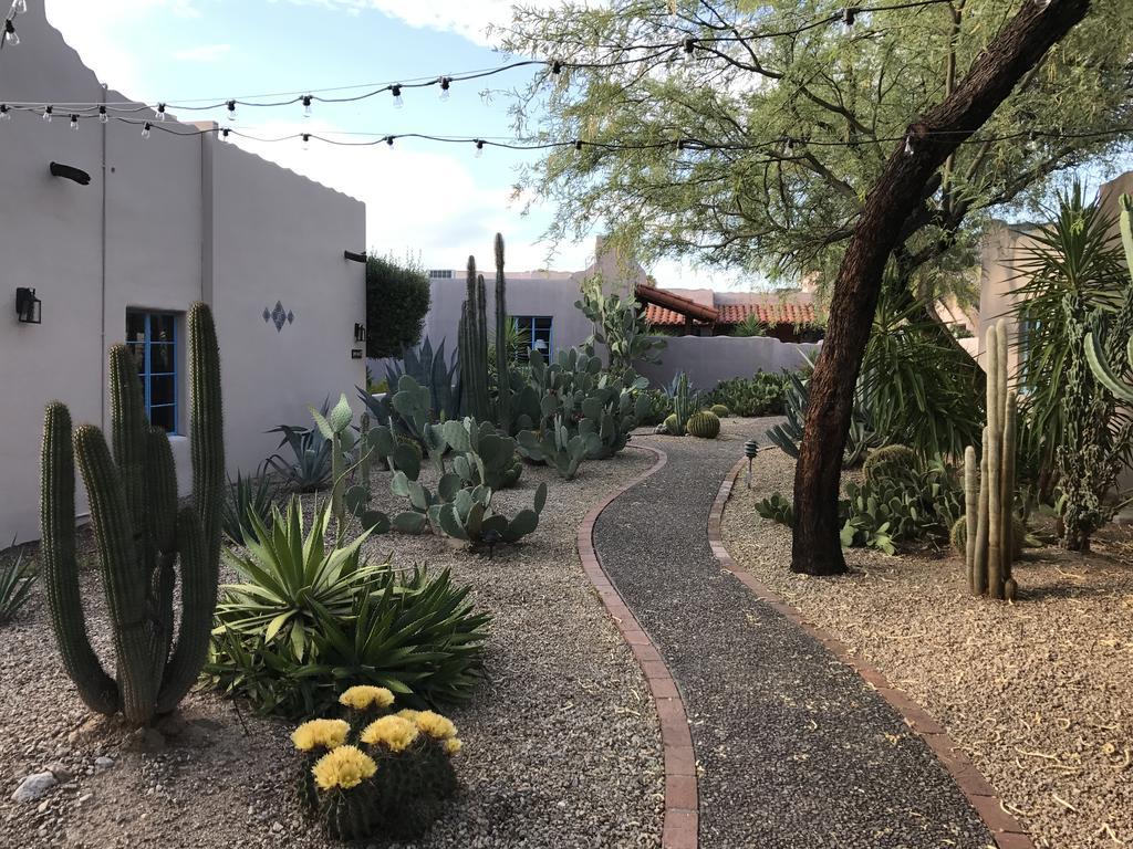 On The Desert Lodge *