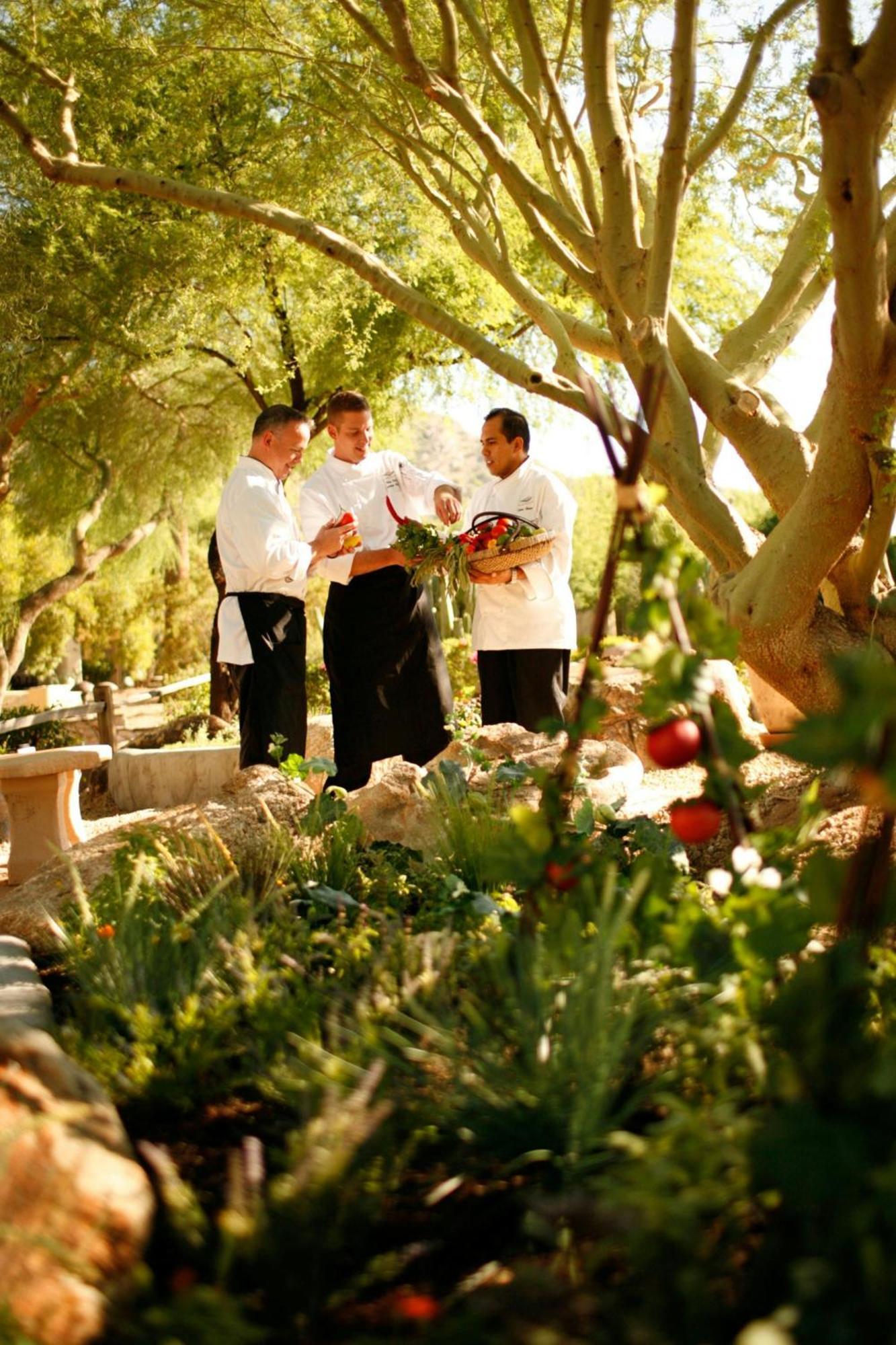 Jw Marriott Scottsdale Camelback & 5* Paradise Valley