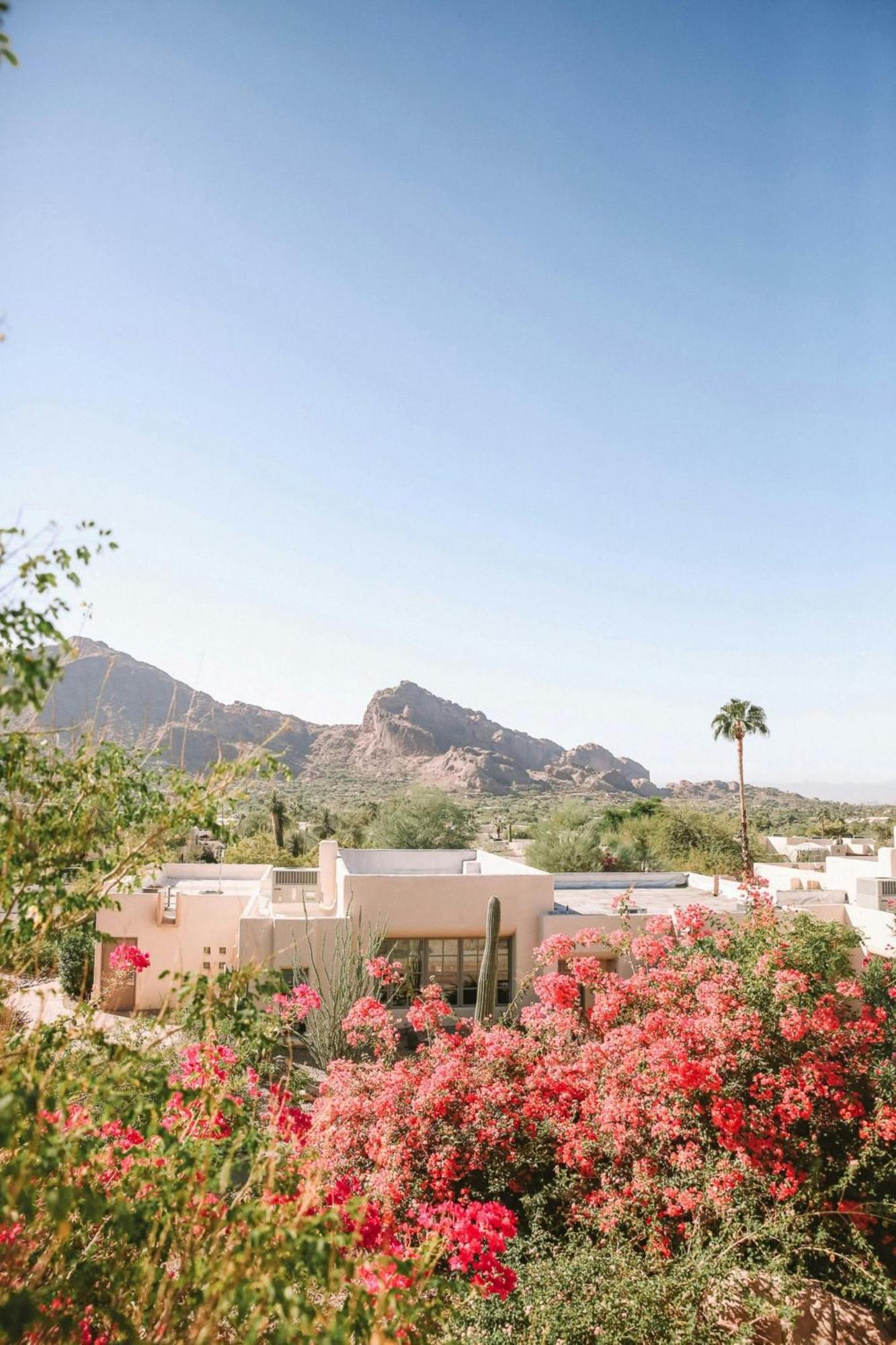 Jw Marriott Scottsdale Camelback & Resort Paradise Valley