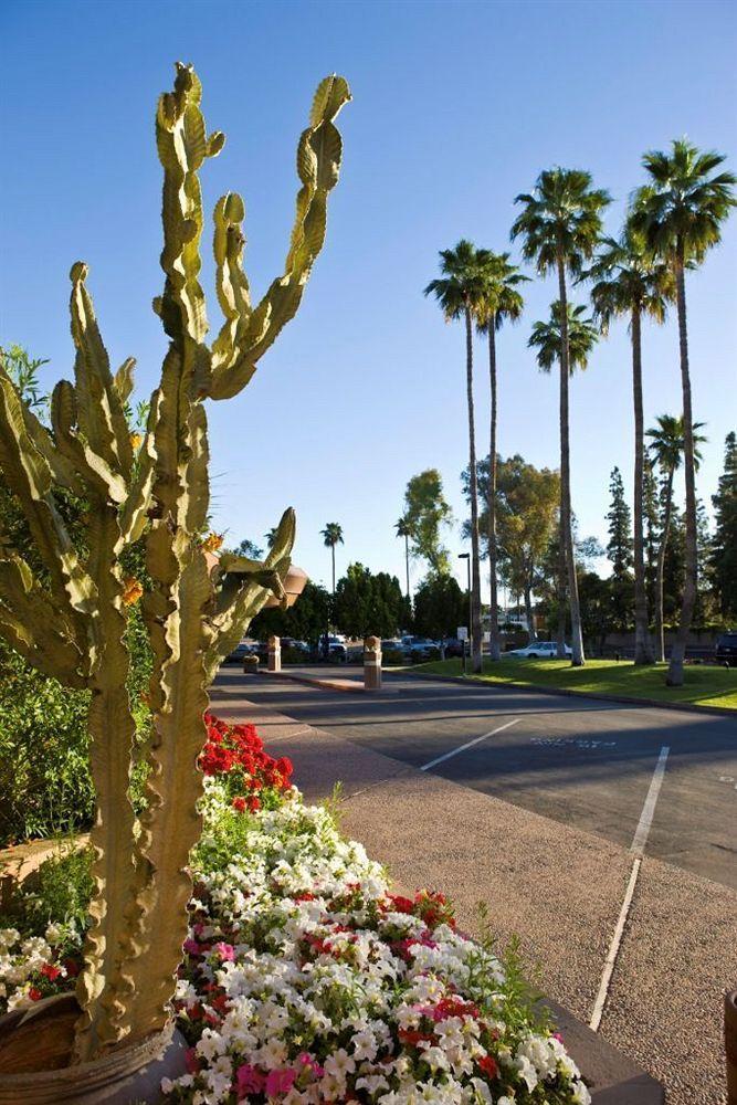 Doubletree By Hilton Phoenix- Hotel 4*