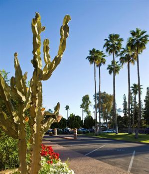 Hotel Doubletree By Hilton Phoenix- Tempe