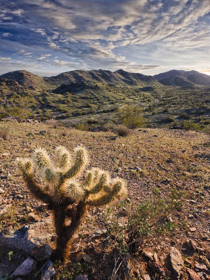 Worldmark - South Mountain Preserve