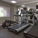 Sonesta Es Suites Tempe