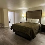 Motel In The Pines
