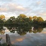 Lazy Oaks Resort