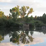 Lazy Oaks Resort