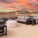 Scottsdale Rose
