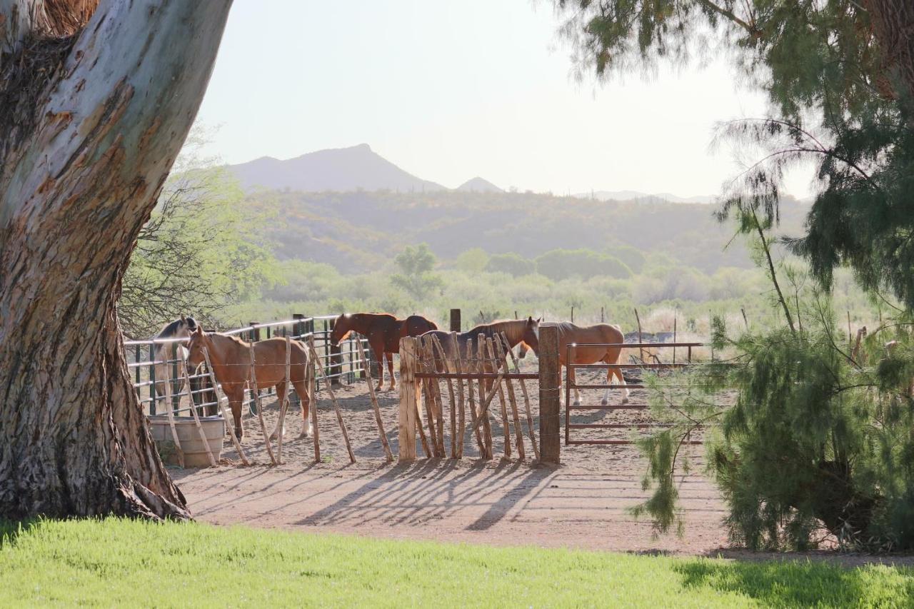 Resort Kay El Bar Guest Ranch 4*