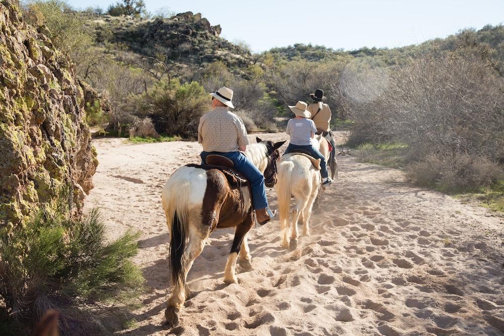 Rancho De Caballeros Wickenburg