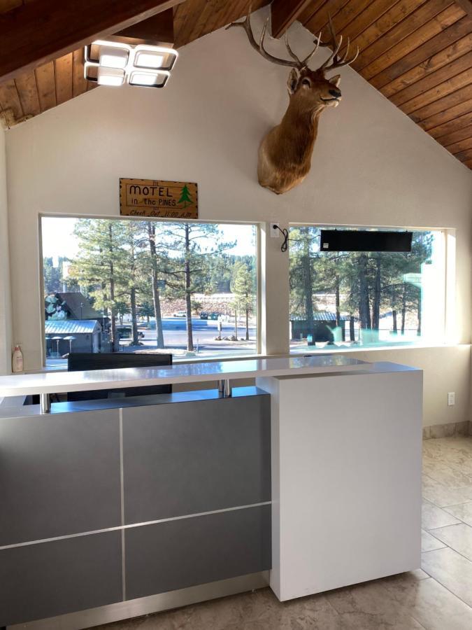 In The Pines Motel Munds Park