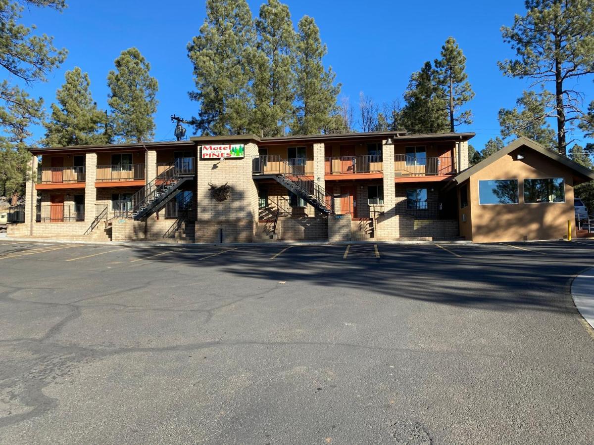 In The Pines Motel