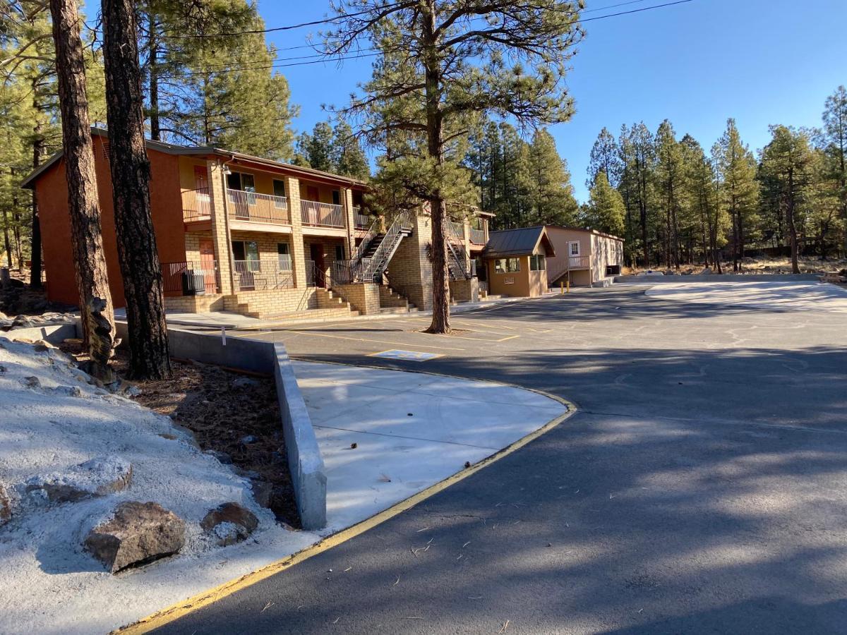 In The Pines