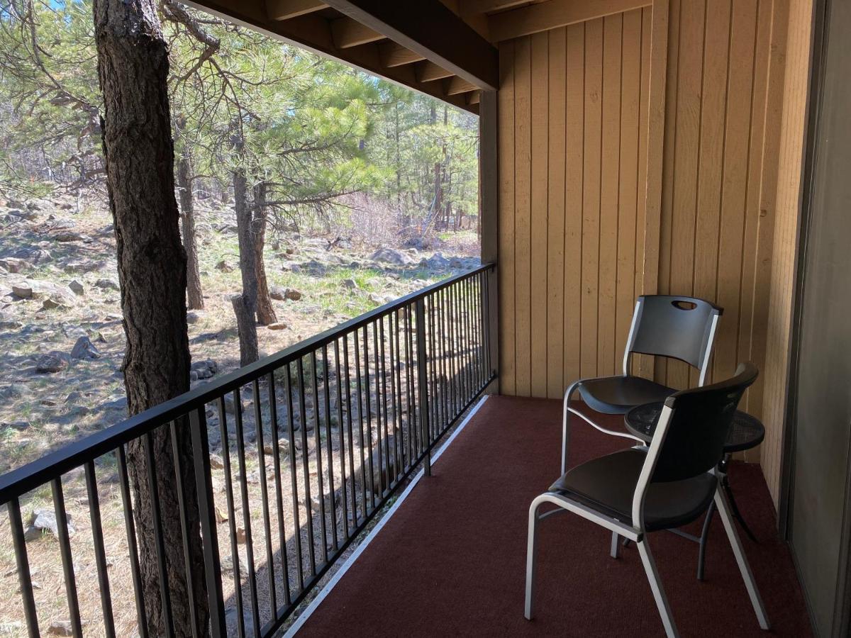 In The Pines
