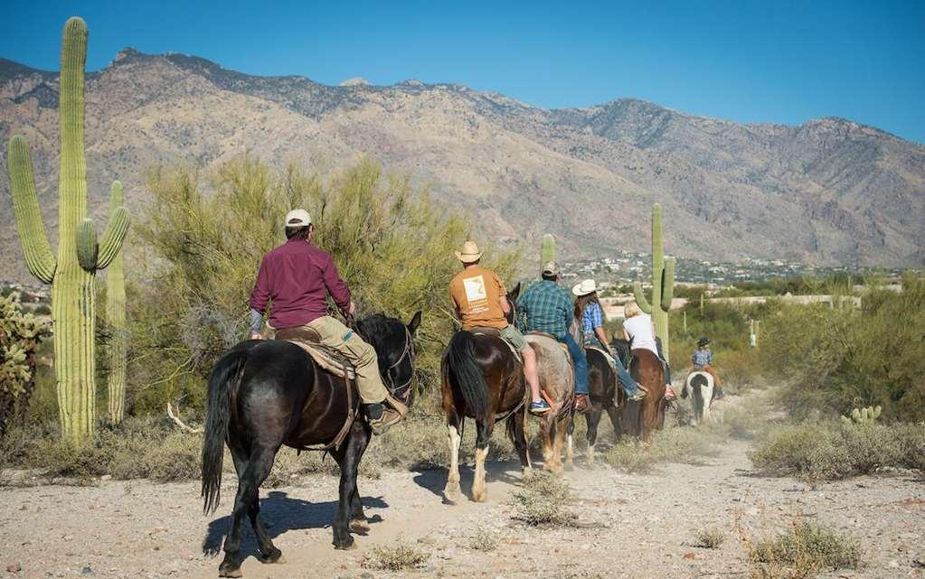 Hacienda Del Sol Guest Ranch Resort