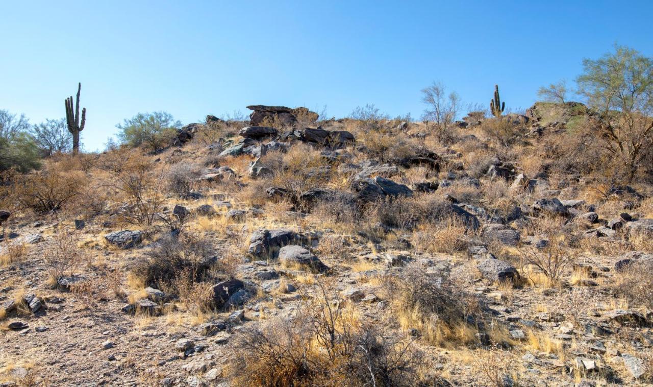 Raintree At South Mountain Preserve 3* Phoenix