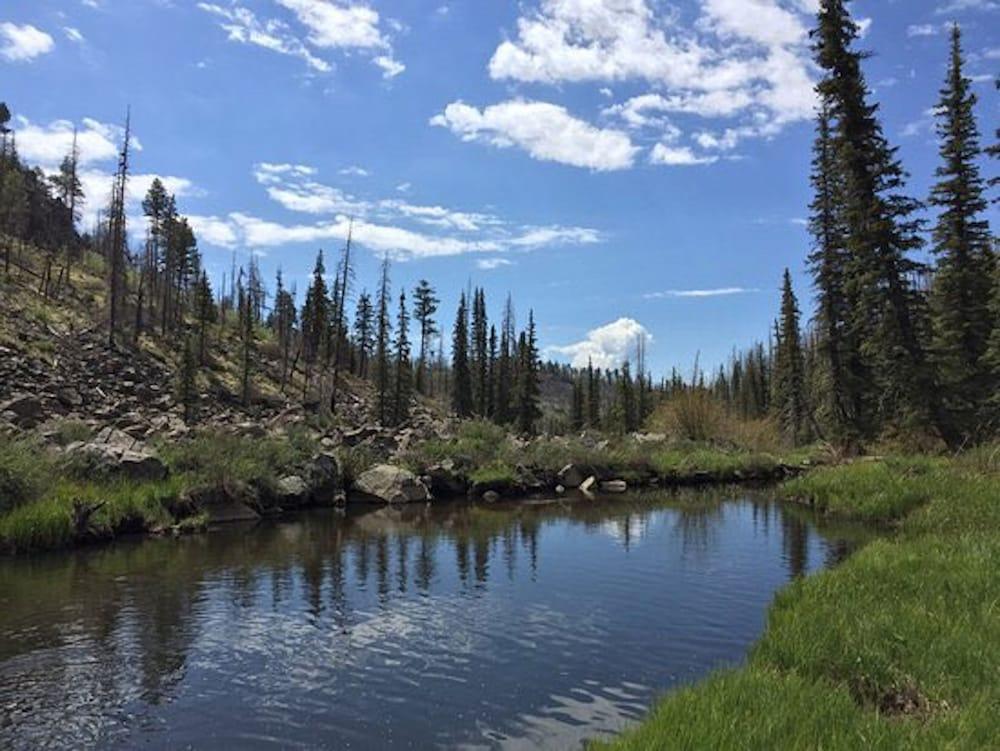Hotel Pinetop Studio Suites