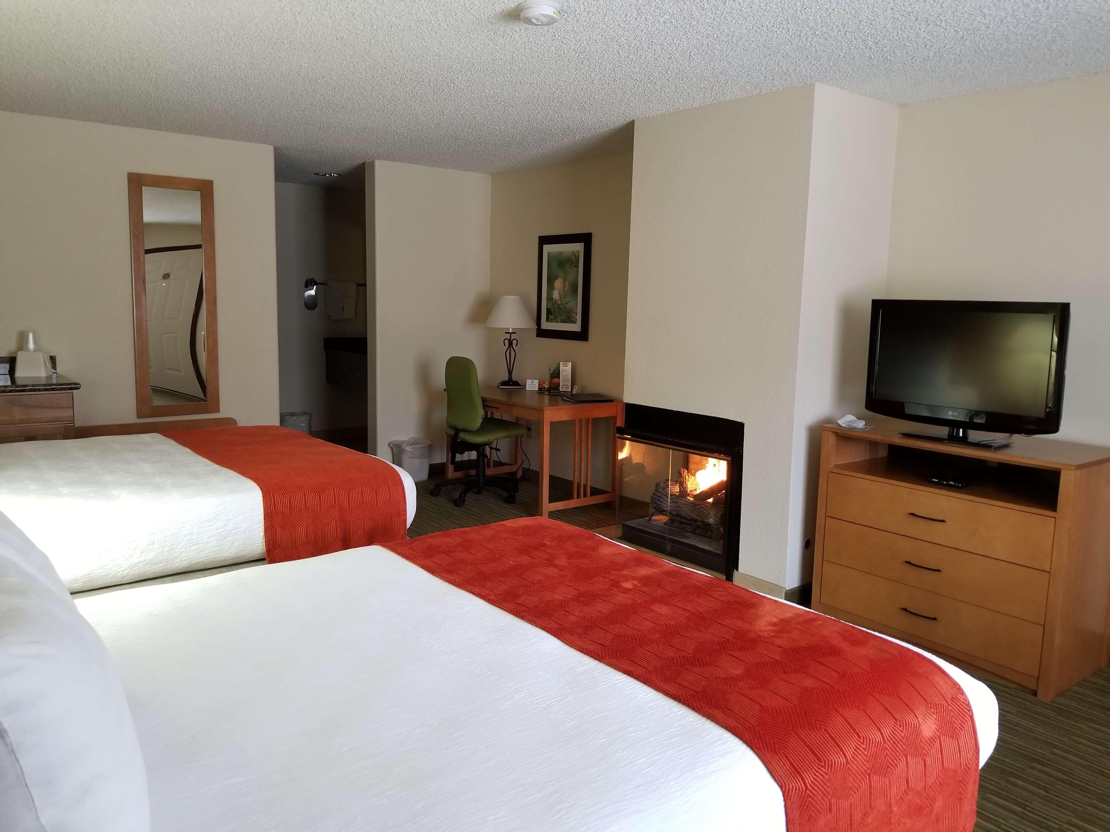 Hotel Western Paint Pony