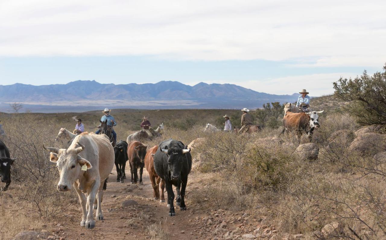 Monument Guest Ranch Resort 4*