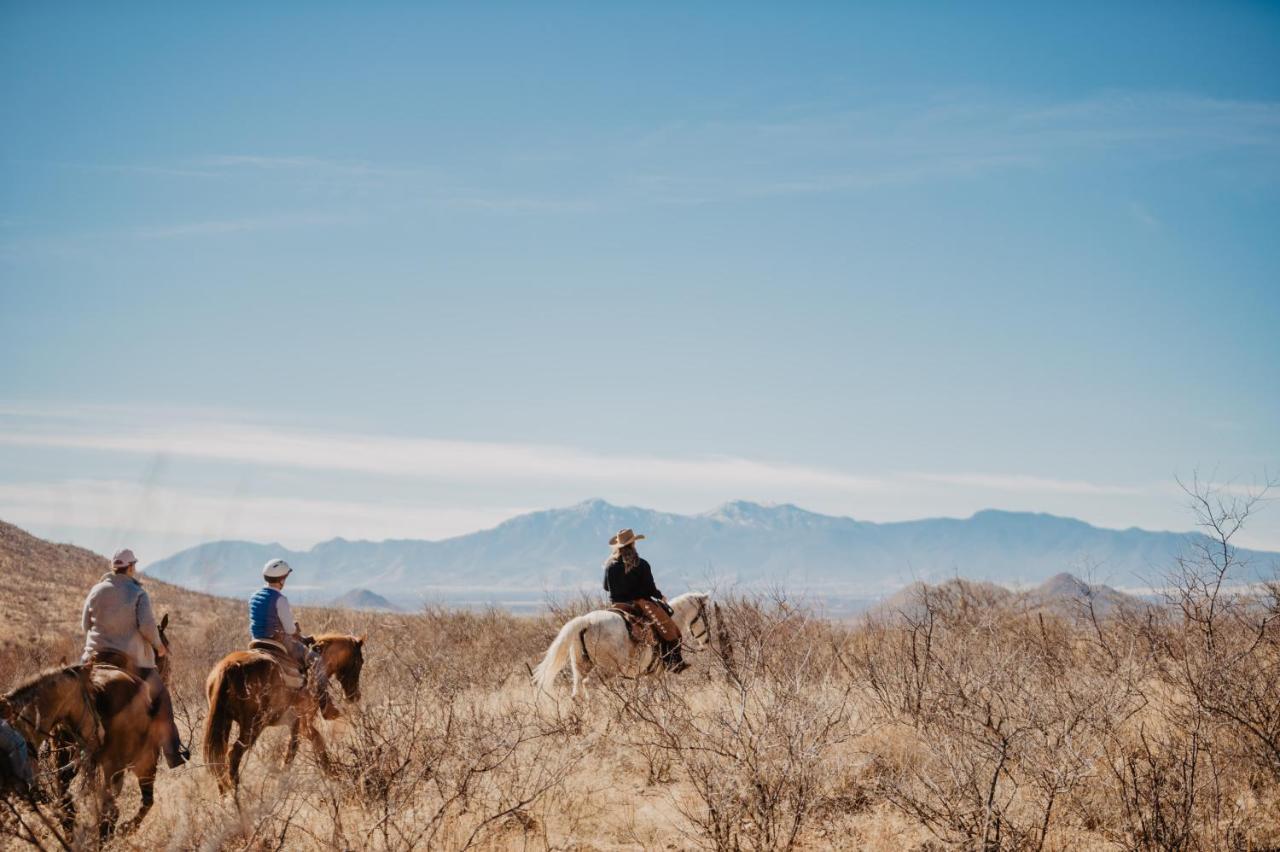 Resort Monument Guest Ranch 4*