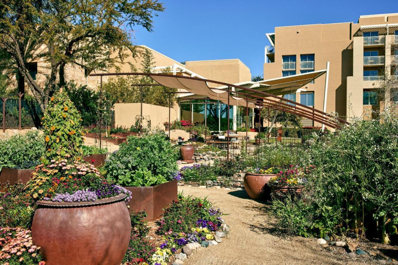 Jw Marriott Desert Ridge & 5*