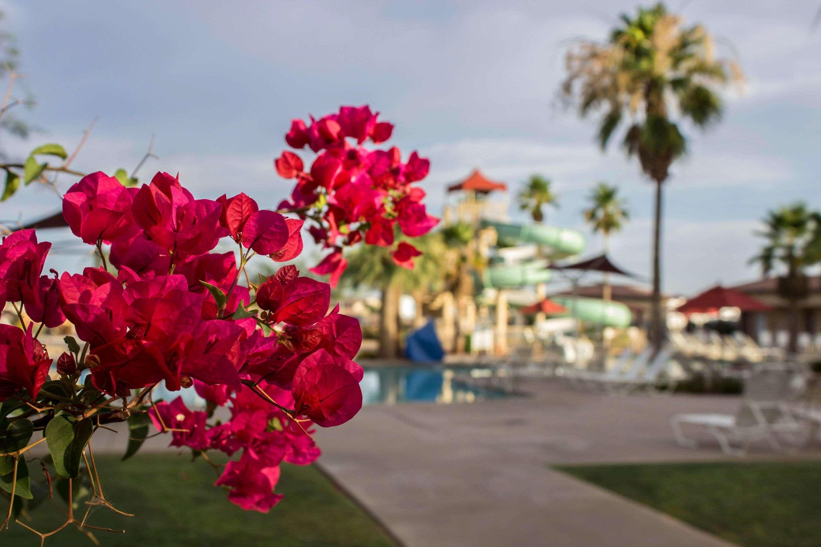 Bluegreen Vacations Cibola Vista And An Ascend Resort 4*