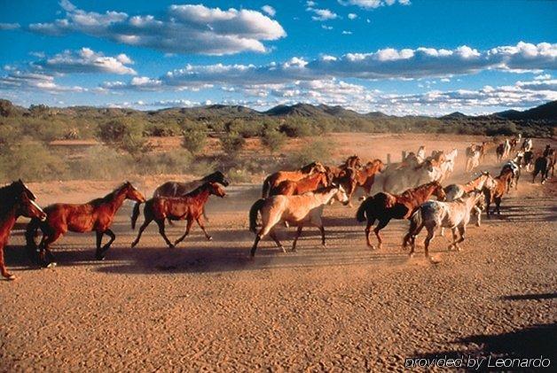 Resort Rancho De Caballeros 3*