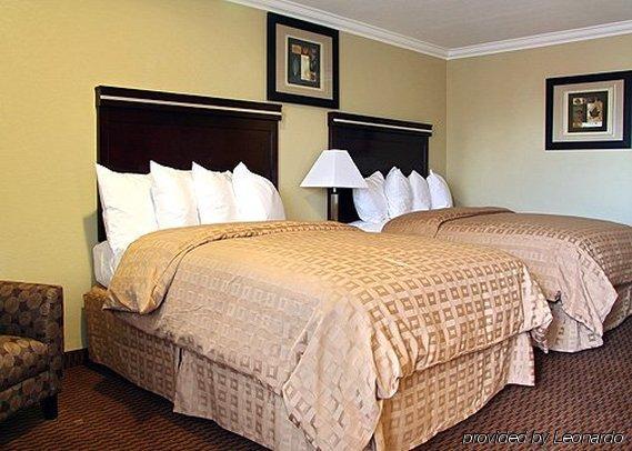 6 Az Near Downtown & Sloan Park Mesa