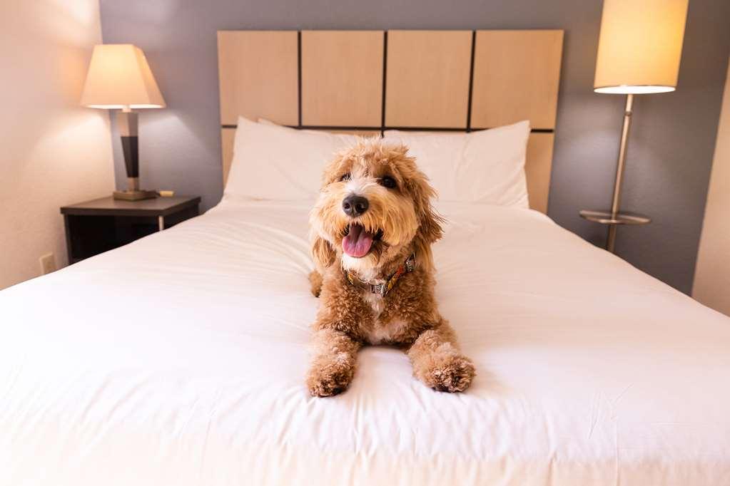 Sonesta Simply Phoenix Hotel 2*