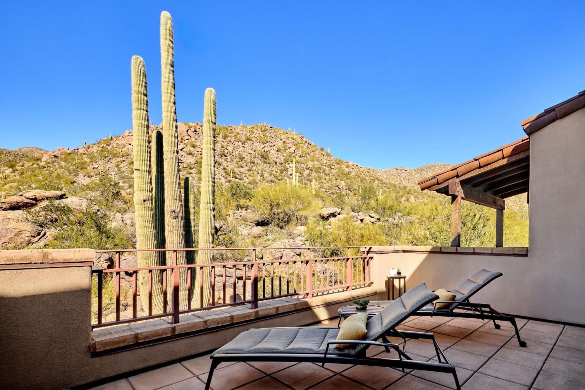 The Ritz-carlton, Dove Mountain Resort