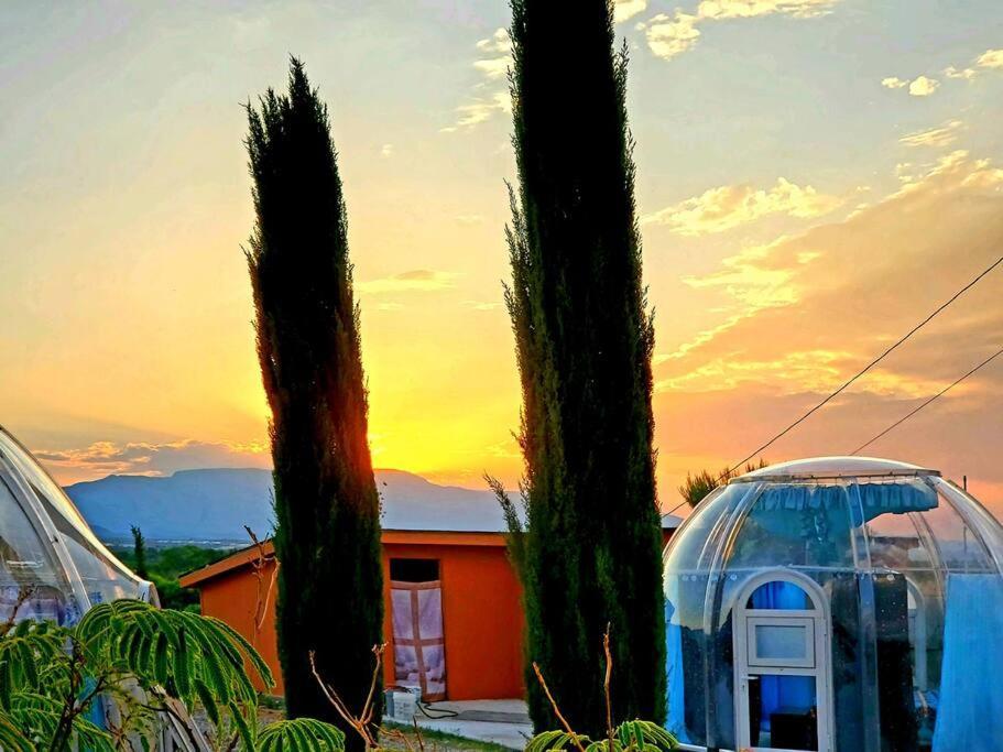 Homestay Stargazing Retreats