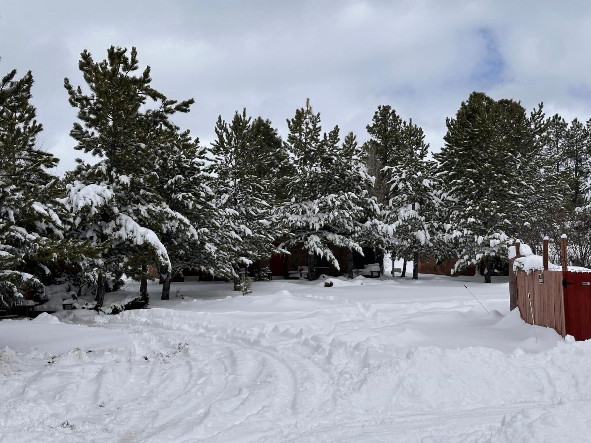 Motel The Canyon & Rv Park
