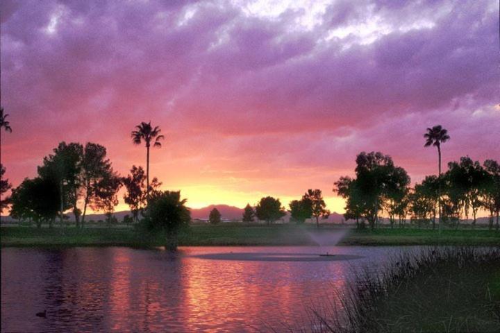 Francisco Grande And Golf