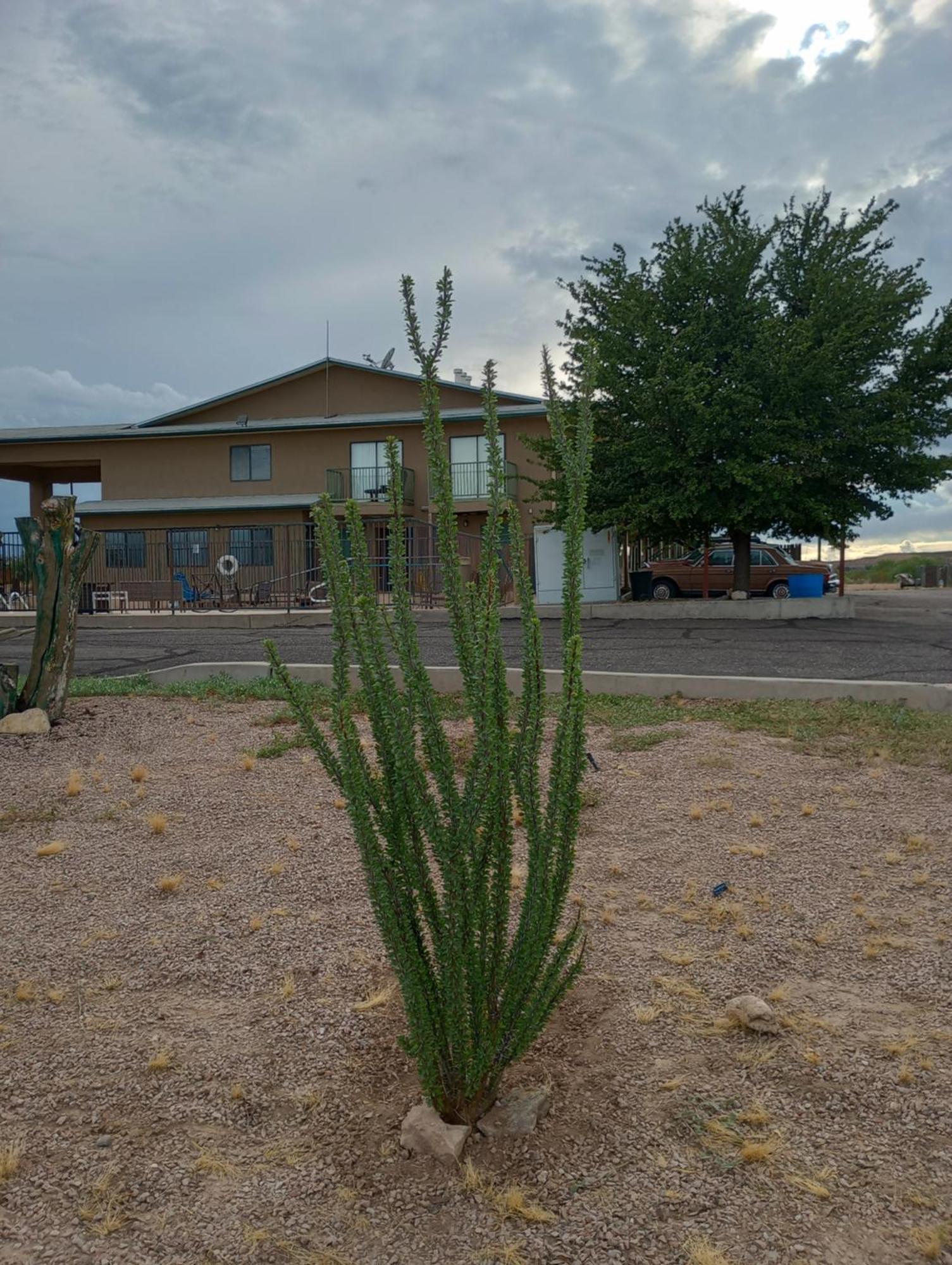 Copper Az I-10 Exit 304 Hotel 3*