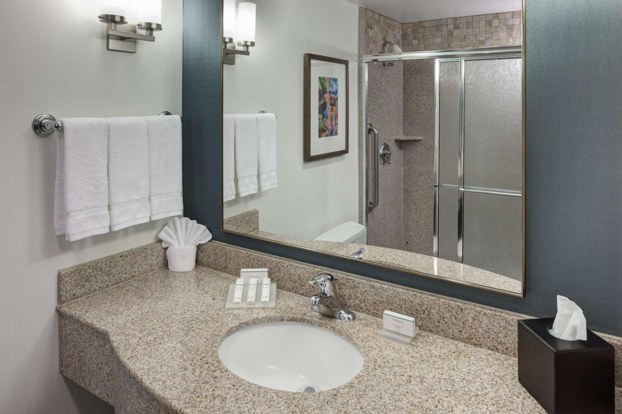 Hotel Hilton Garden Airport