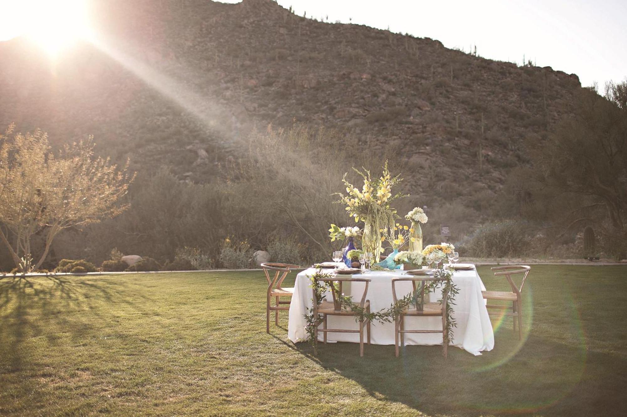 Resort The Ritz-carlton, Dove Mountain 5*