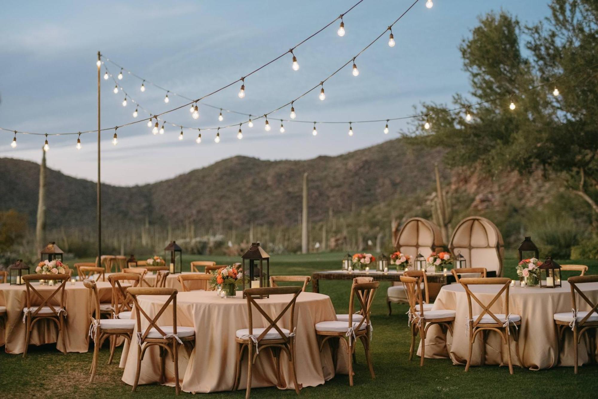 The Ritz-carlton, Dove Mountain 5*