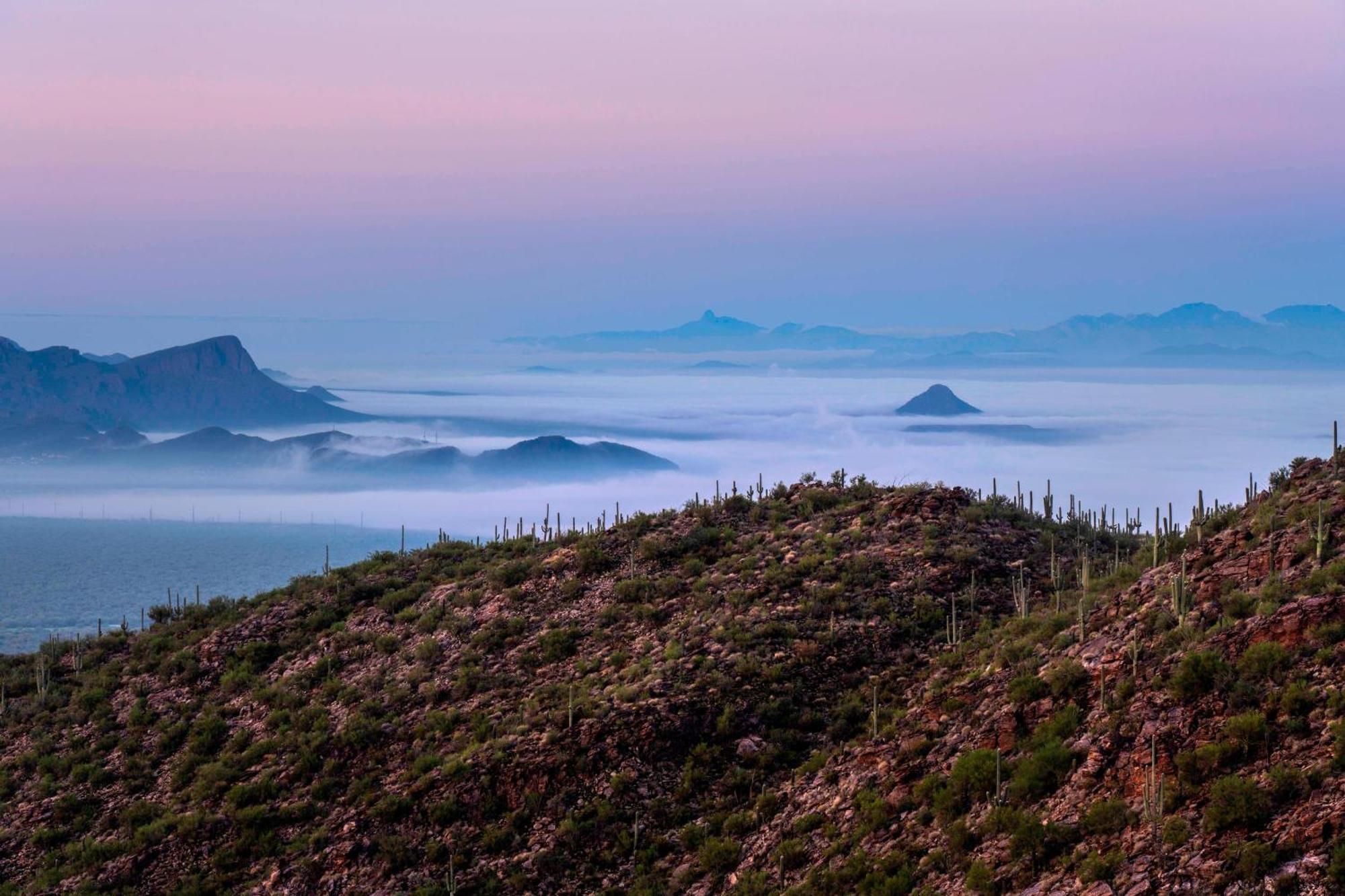 The Ritz-carlton, Dove Mountain Resort 5*