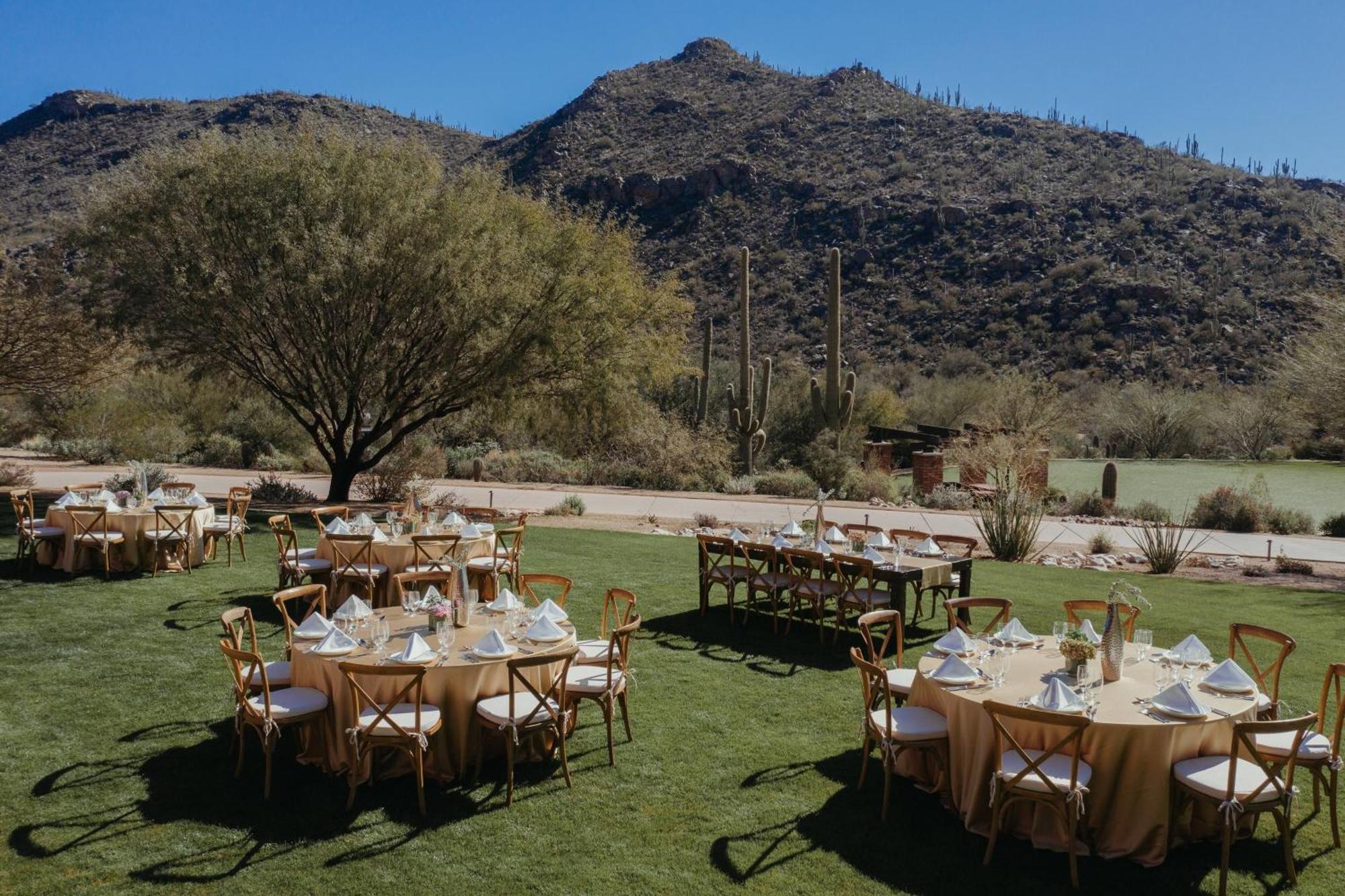 The Ritz-carlton, Dove Mountain Resort 5*