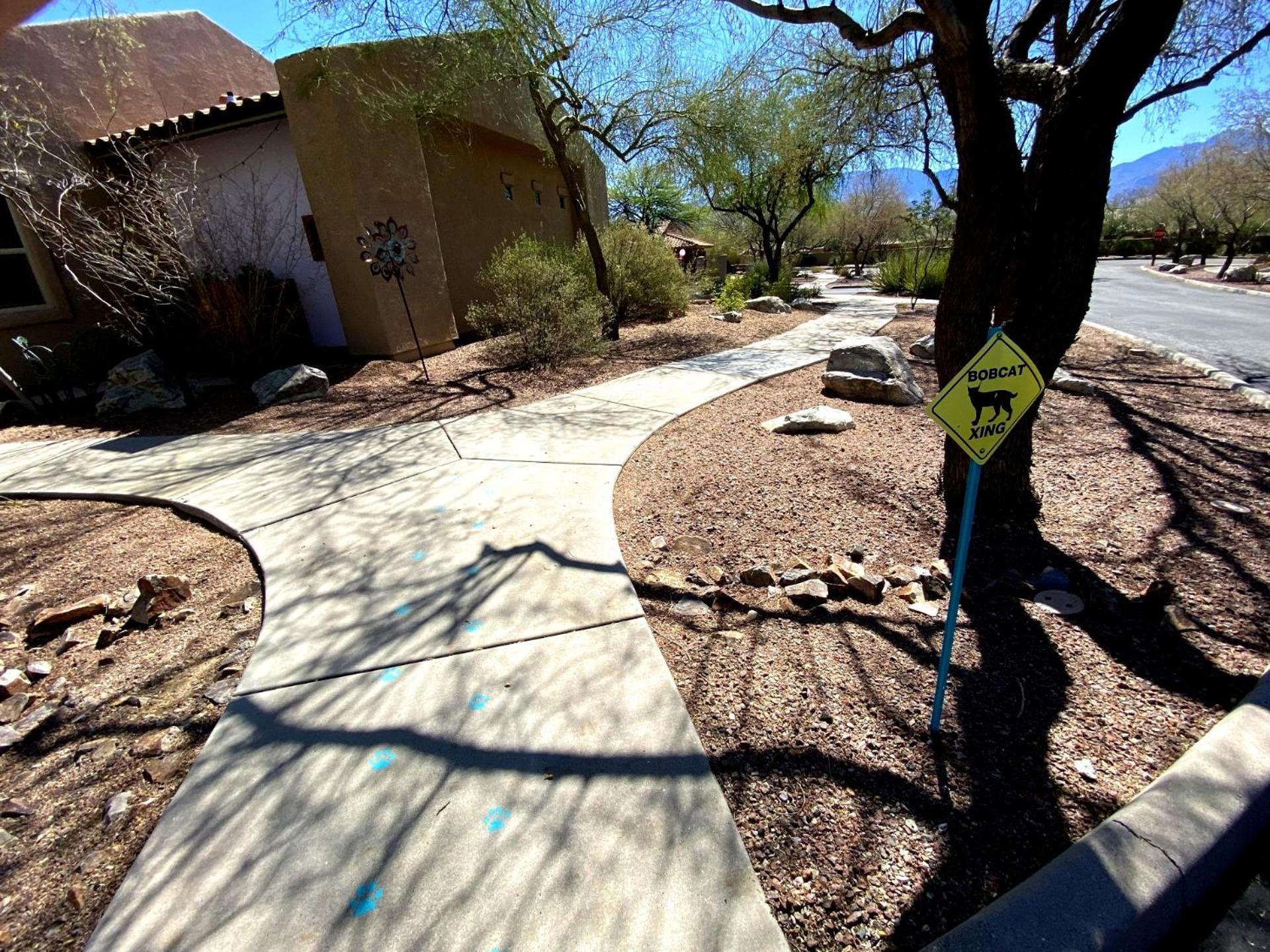 Worldmark Rancho Vistoso