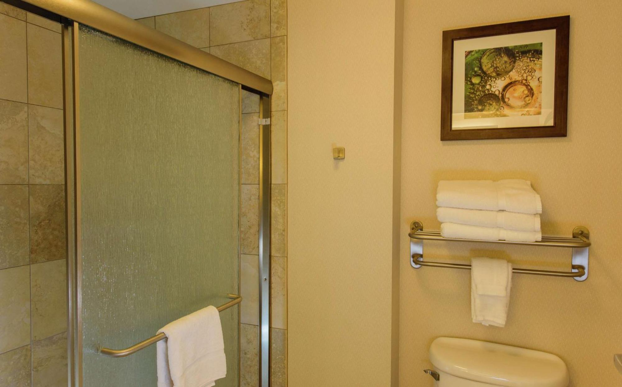 Homewood By Hilton Phoenix Fashion Center 3* Chandler