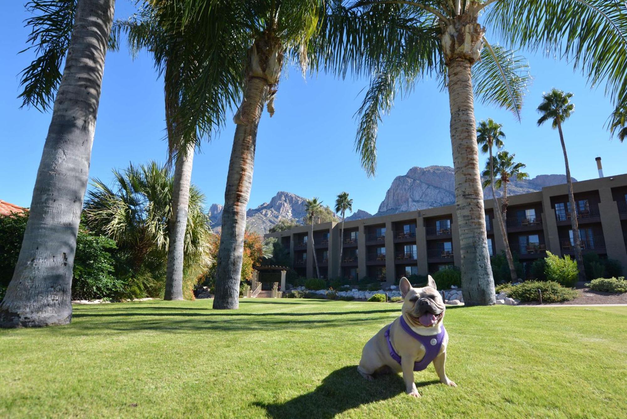 Resort El Conquistador Tucson, A Hilton Oro Valley