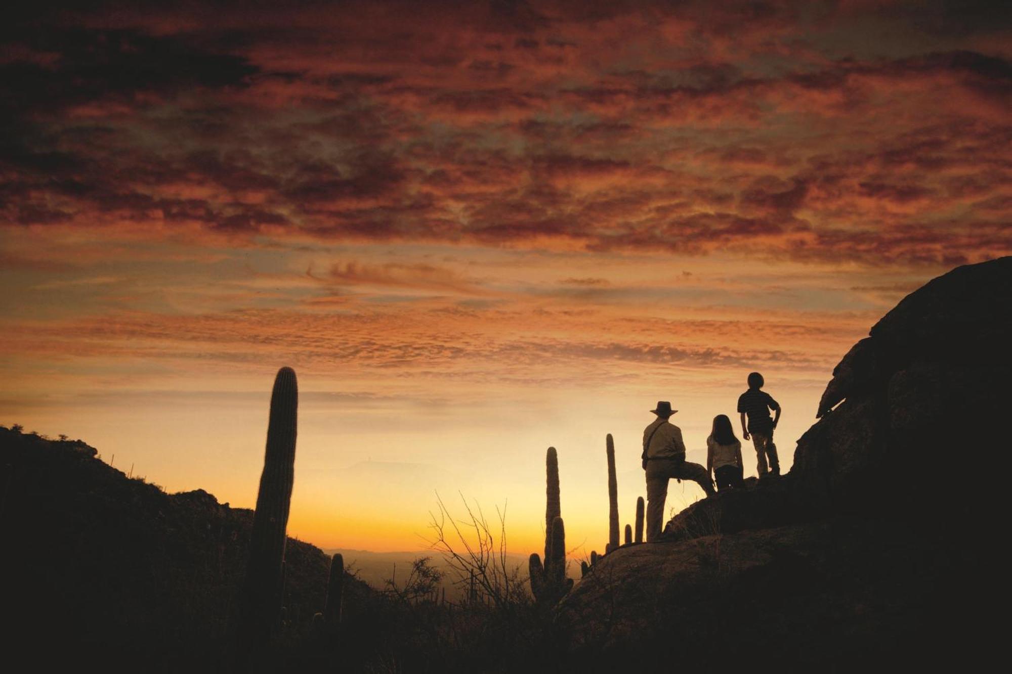 The Ritz-carlton, Dove Mountain Resort