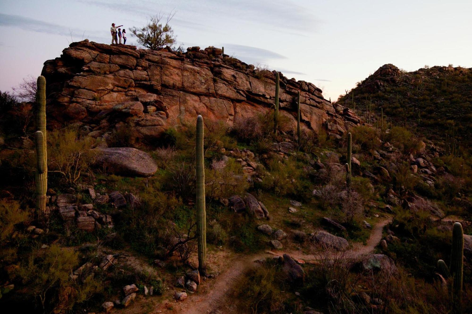 The Ritz-carlton, Dove Mountain Resort 5*