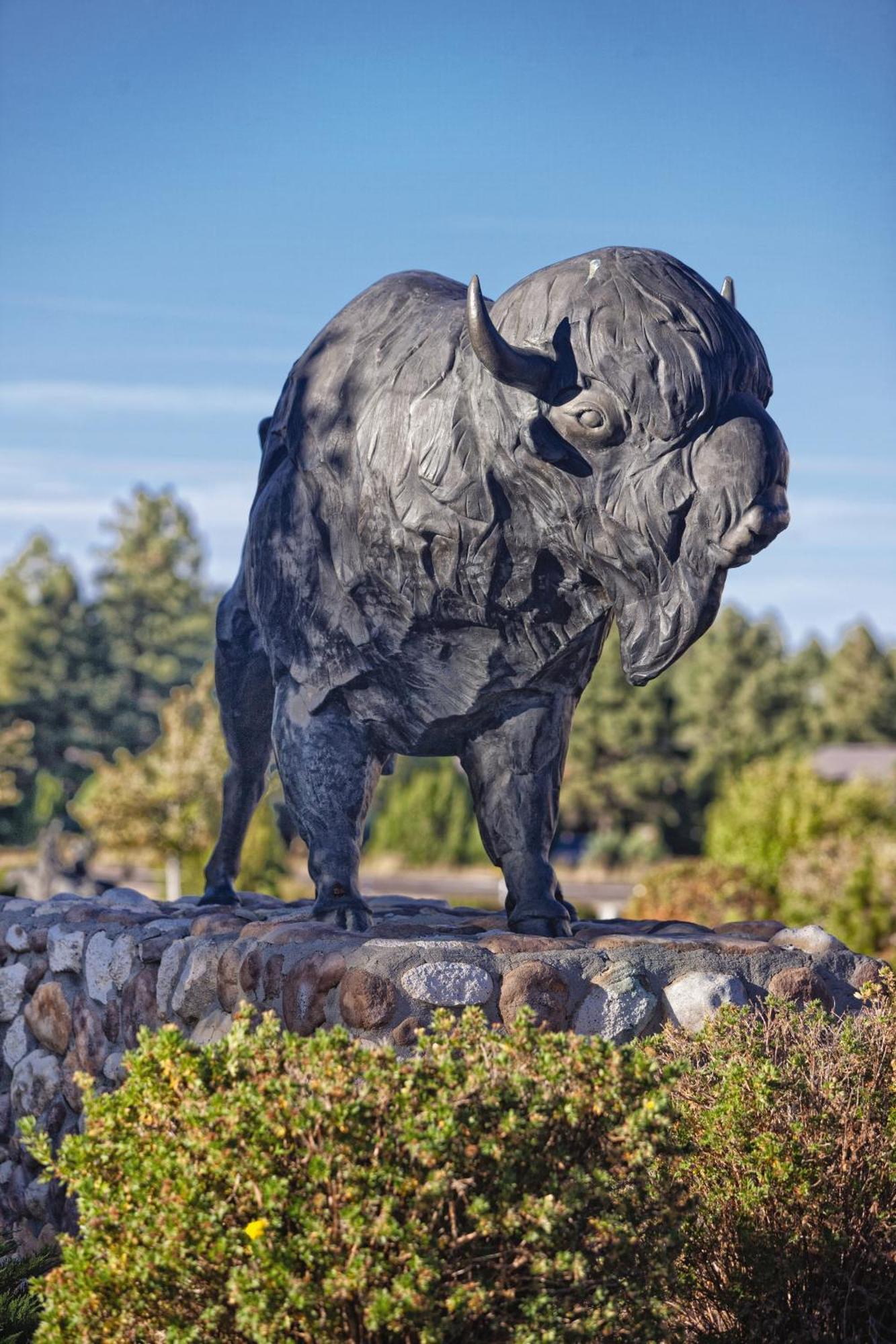 Resort Worldmark Bison Ranch Overgaard