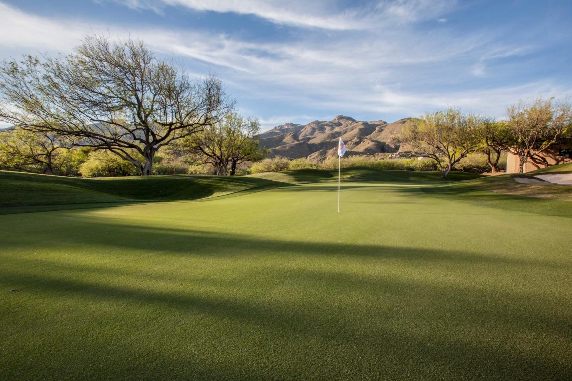 Resort The At Ventana Canyon Tucson