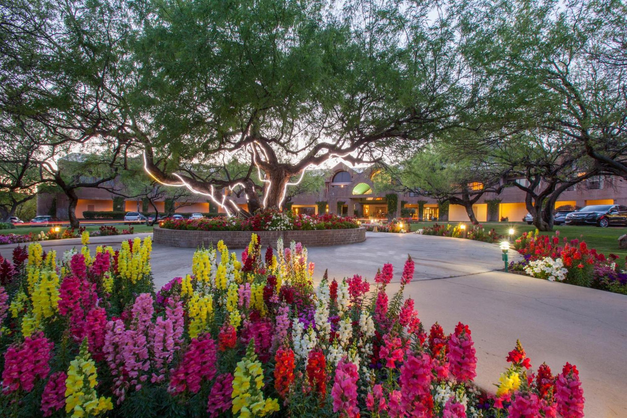 Resort The At Ventana Canyon
