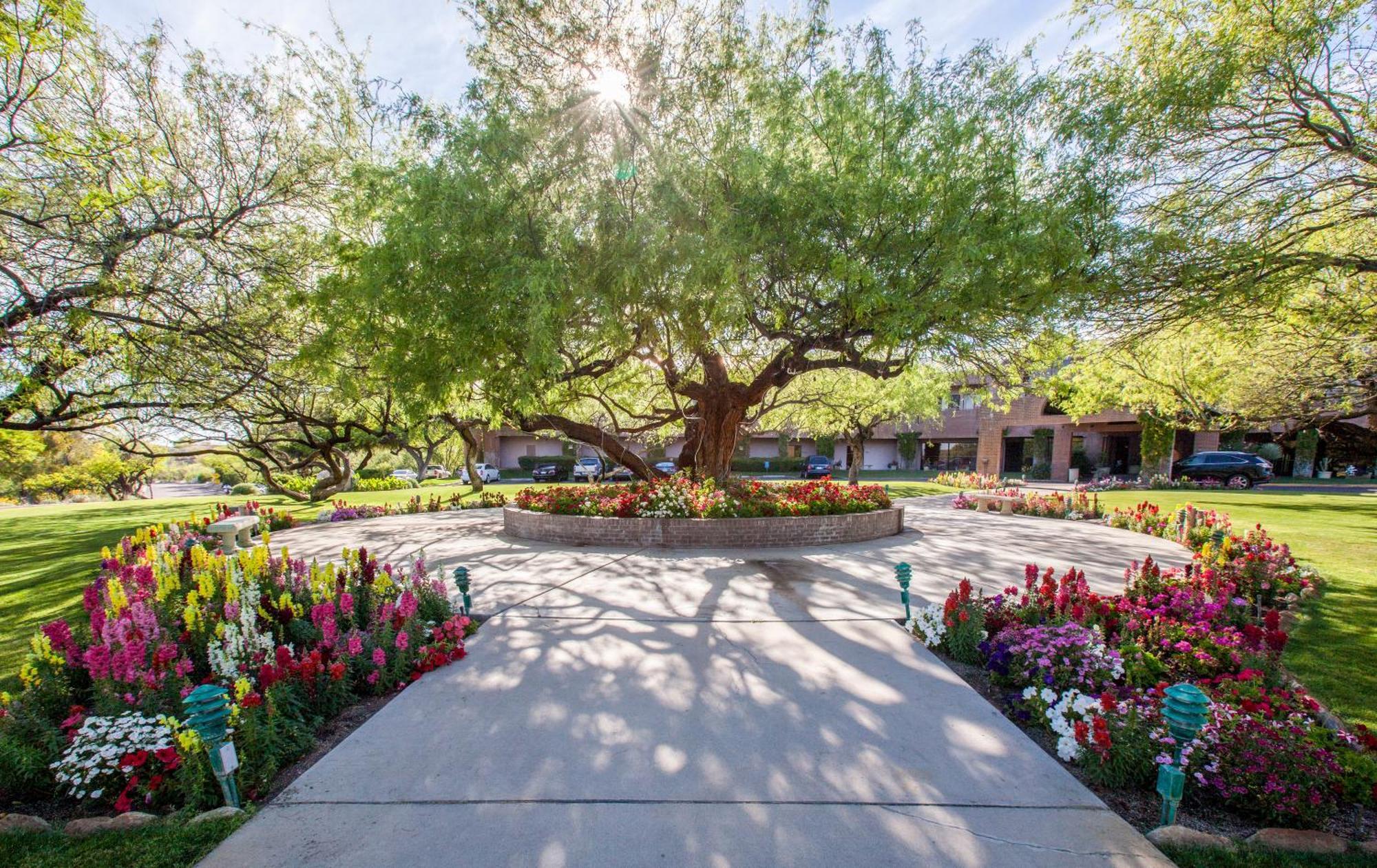 Resort The At Ventana Canyon 4*