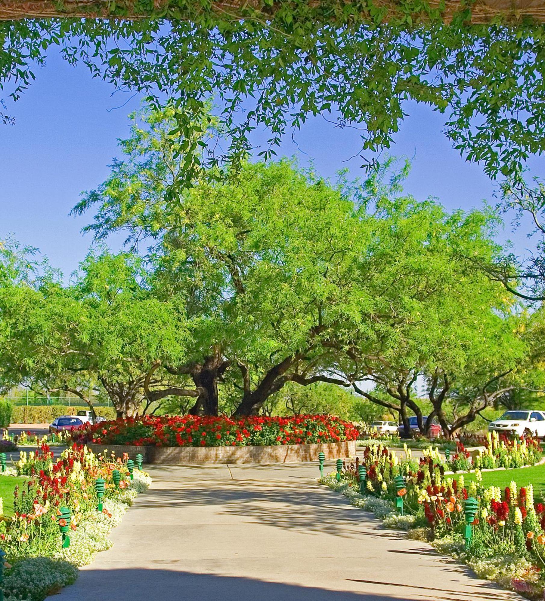 Resort The At Ventana Canyon Tucson